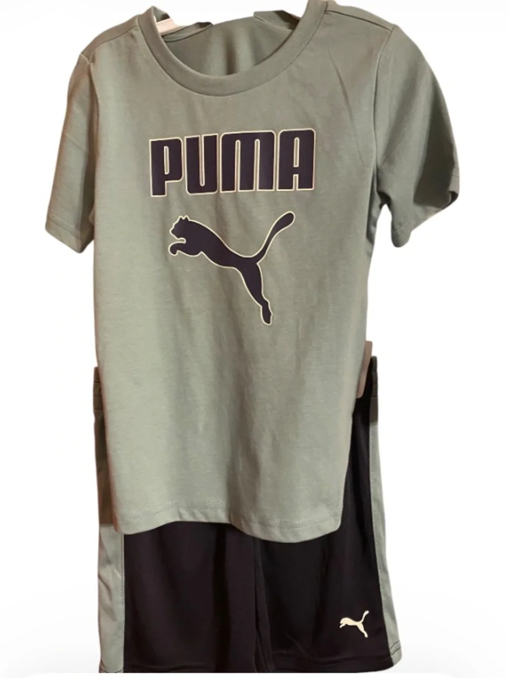 Puma Sage Green Short Sleeve Logo Tee & Shorts NWT size 4 - Picture 1 of 9
